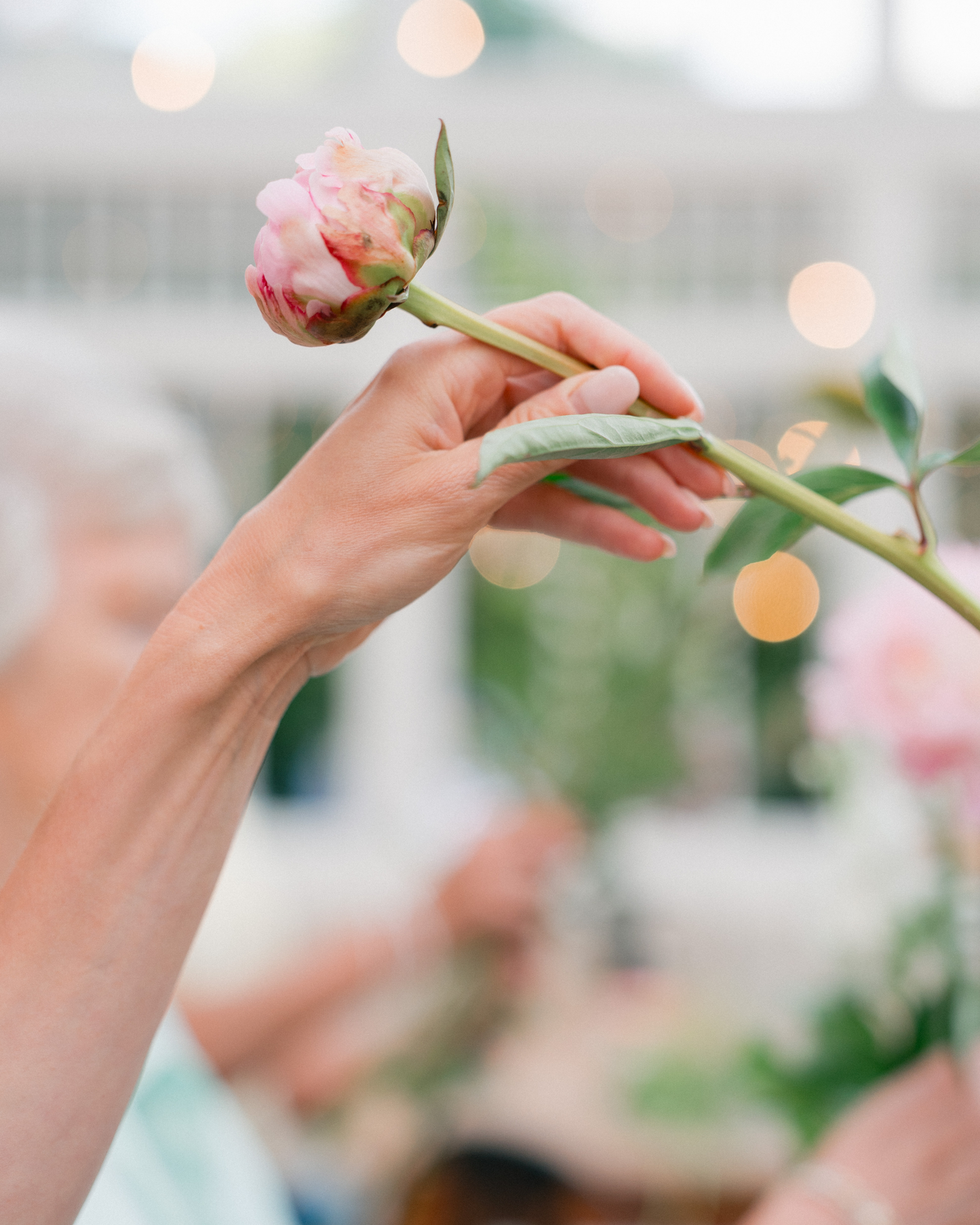 Mornings in Bloom: An Introduction to Floristry (October 2025)