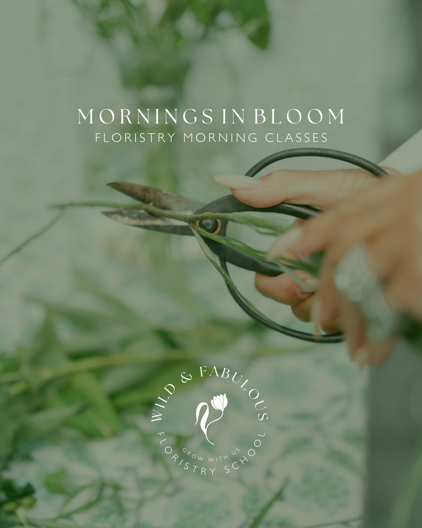 Mornings in Bloom: An Introduction to Floristry (October 2025)