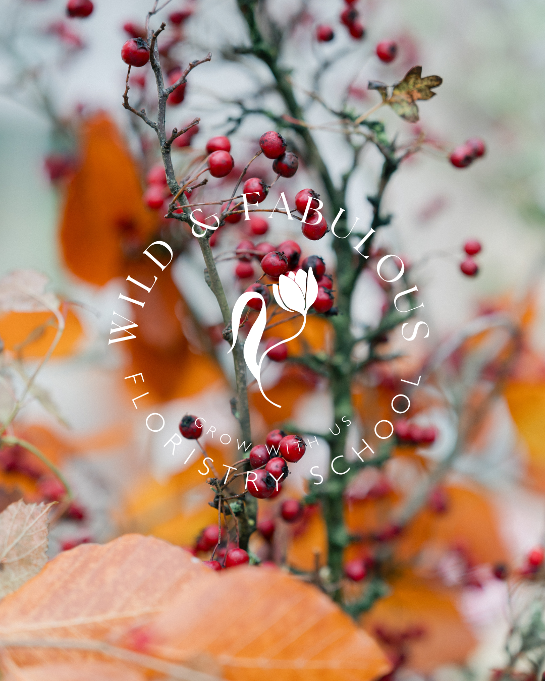 Evenings in Bloom: An Introduction to Floristry (September 2026, Tuesdays)