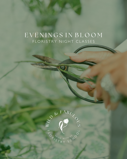 Evenings in Bloom: An Introduction to Floristry (October 2025)