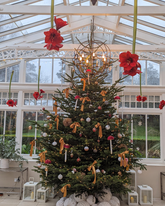 Christmas at the Castle Workshop 2025