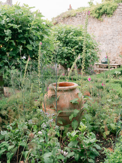 British Flowers Summer Party